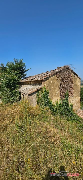 azienda agricola in vendita a Poggibonsi in zona Campomaggio