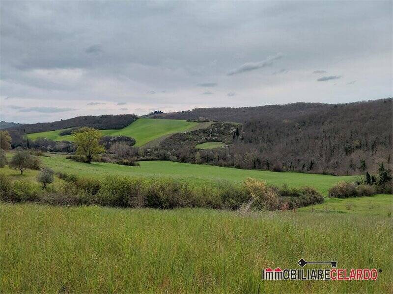 terreno agricolo in vendita a Poggibonsi in zona Borgaccio