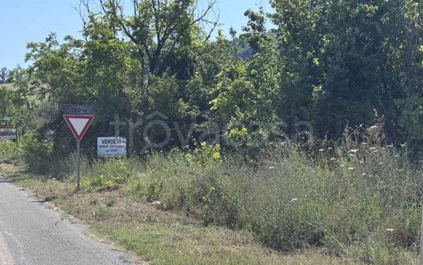 terreno agricolo in vendita a Poggibonsi in zona Staggia Senese