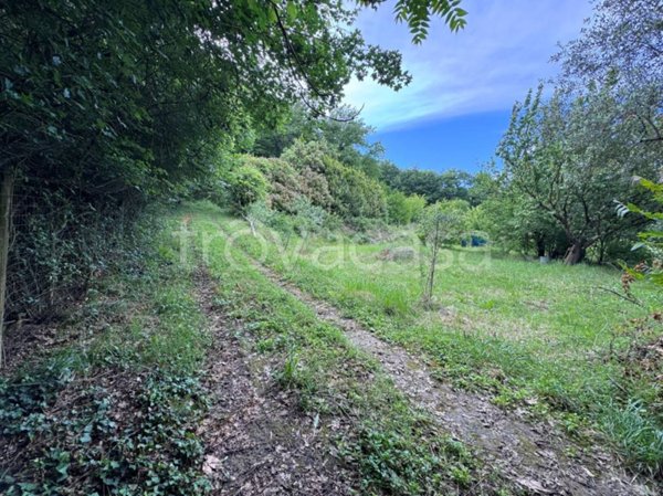 terreno agricolo in vendita a Poggibonsi in zona Bellavista