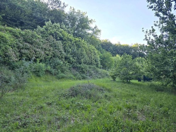 terreno agricolo in vendita a Poggibonsi in zona Borgaccio