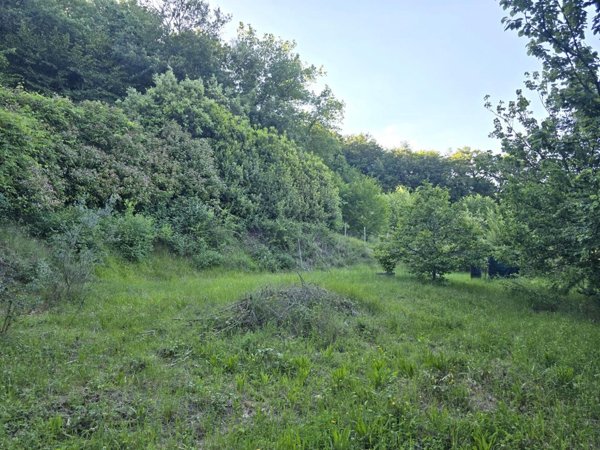 terreno agricolo in vendita a Poggibonsi in zona Borgaccio