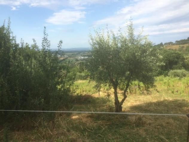 terreno in vendita a Poggibonsi