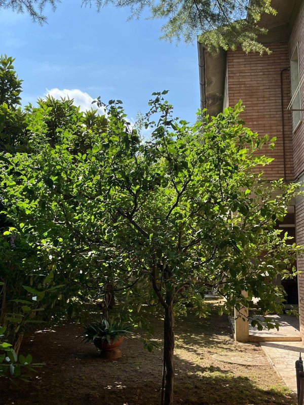casa indipendente in vendita a Poggibonsi in zona Centro Storico