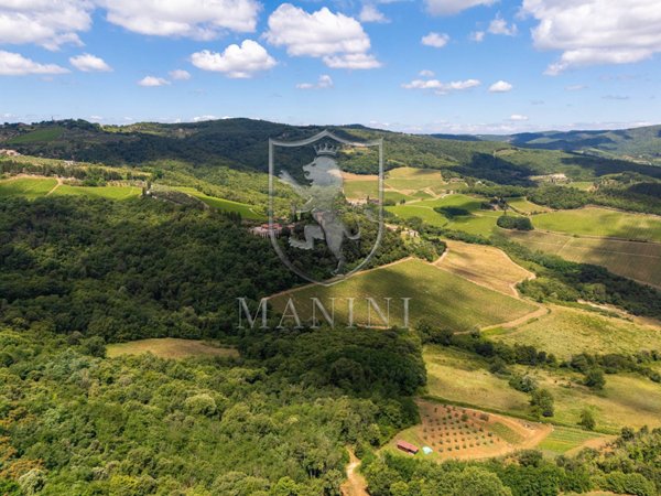 casa indipendente in vendita a Radda in Chianti