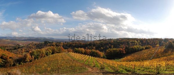 casale in vendita a Radda in Chianti