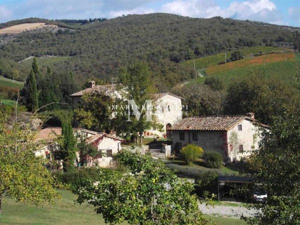azienda agricola in vendita a Radda in Chianti