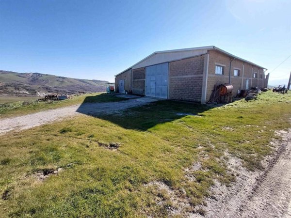 casa indipendente in vendita a Radicofani