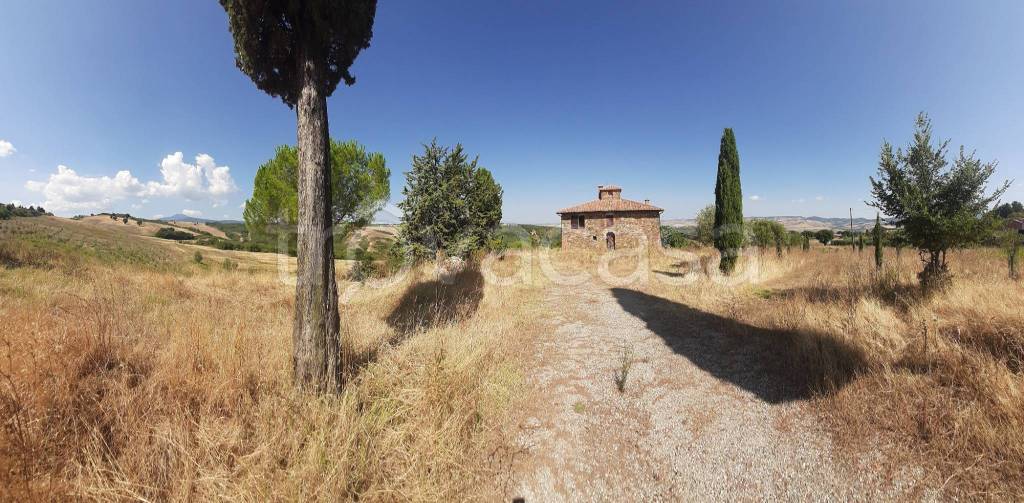 azienda agricola in vendita a Radicofani in zona Contignano