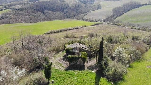 negozio in vendita a Radicofani