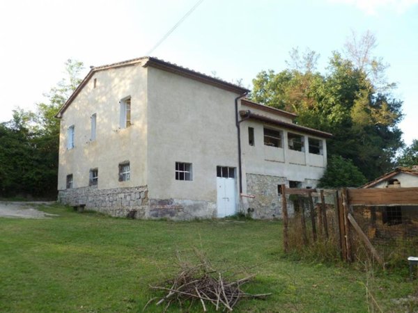 azienda agricola in vendita a Radicofani