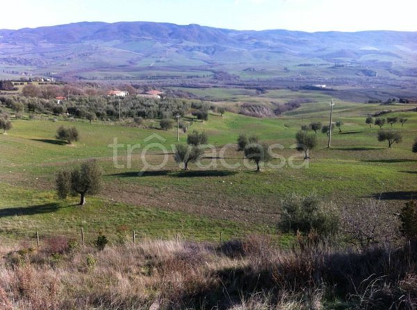 terreno agricolo in vendita a Radicofani