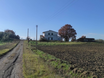 azienda agricola in vendita a Radicofani