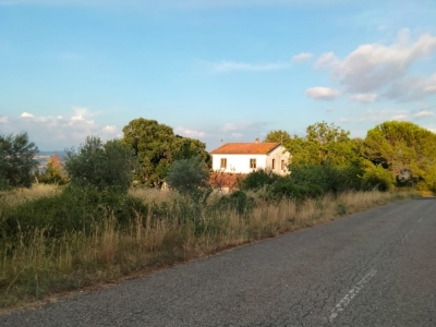 azienda agricola in vendita a Radicofani