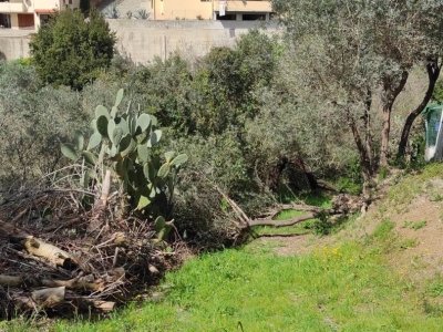 terreno agricolo in vendita a Radicofani