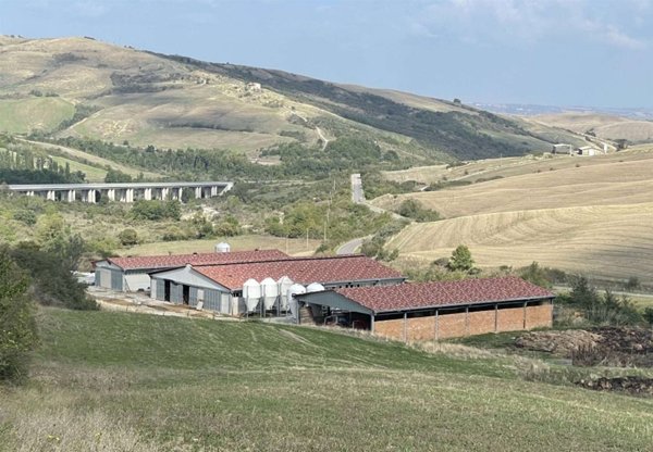 trivano in vendita a Radicofani