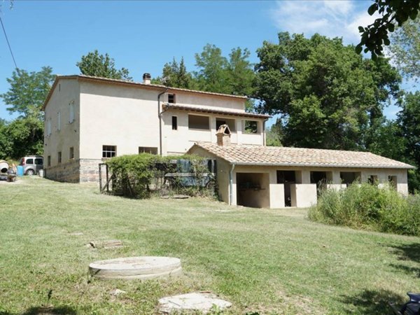 negozio in vendita a Radicofani