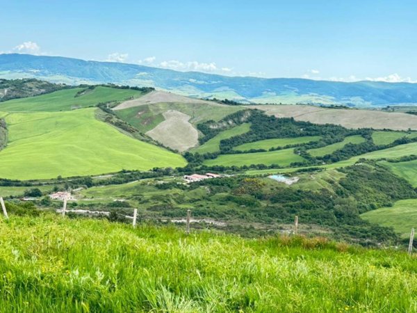 azienda agricola in vendita a Radicofani