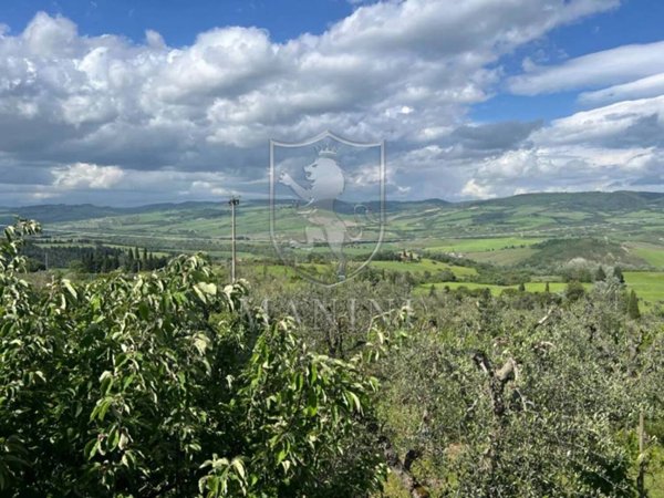 casa indipendente in vendita a Radicofani in zona Contignano