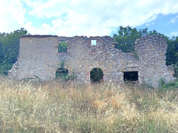 immagine annuncio 0 di 6