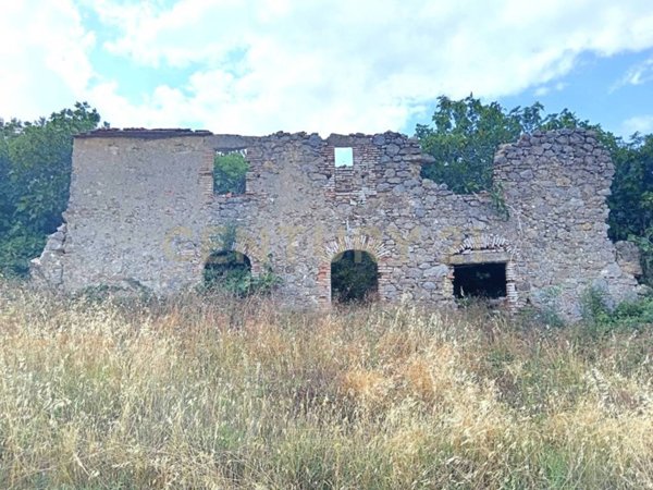 terreno agricolo in vendita a Radicofani