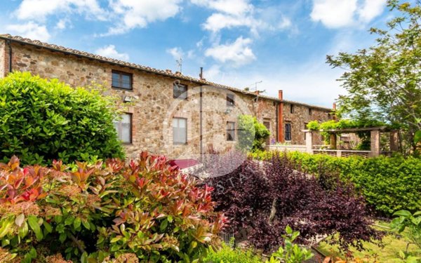 casa indipendente in vendita a Radicofani in zona Contignano