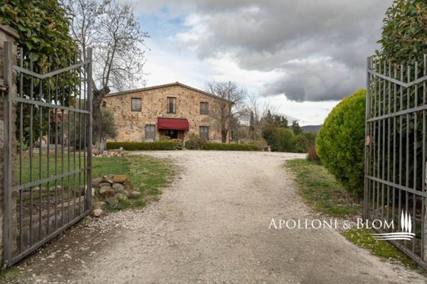 casa indipendente in vendita a Radicofani in zona Contignano