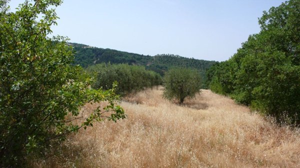 locale di sgombero in vendita a Radicofani in zona Contignano