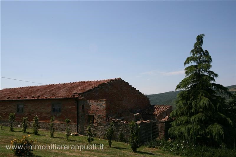 negozio in vendita a Radicofani