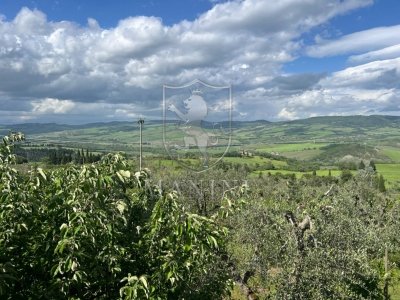 casa indipendente in vendita a Radicofani in zona Contignano
