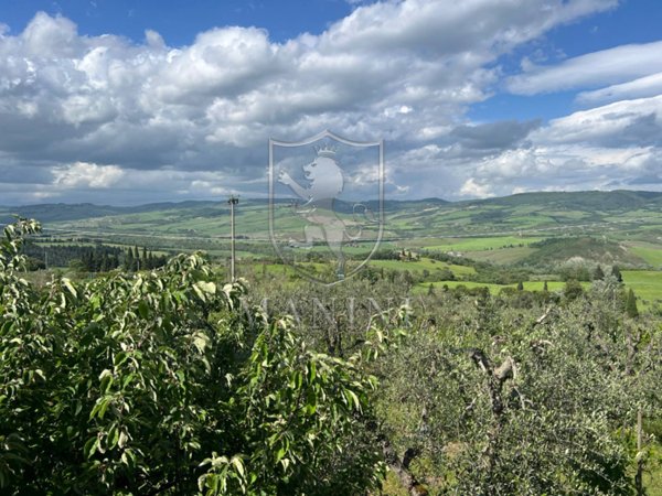 casa indipendente in vendita a Radicofani in zona Contignano