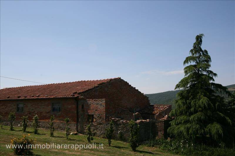 negozio in vendita a Radicofani