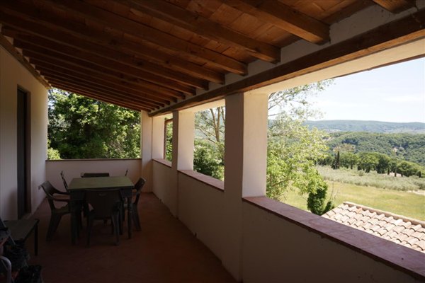 azienda agricola in vendita a Radicofani