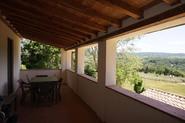 azienda agricola in vendita a Radicofani