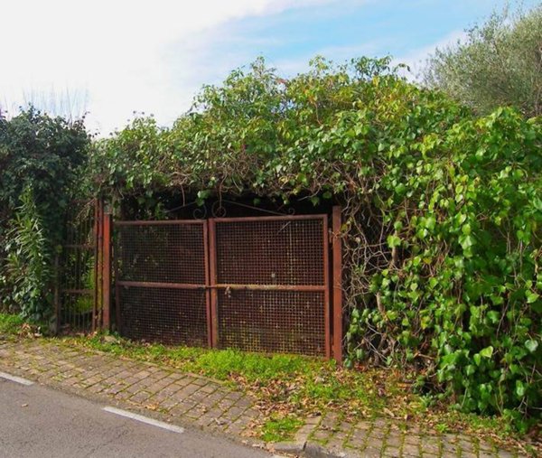 casa indipendente in vendita a Radicofani