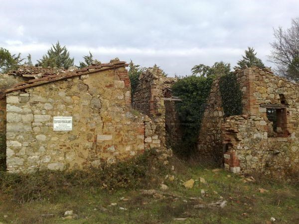 casa indipendente in vendita a Radicondoli