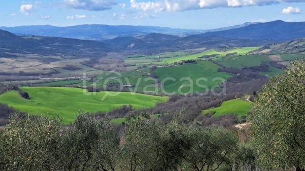 negozio in vendita a Radicondoli