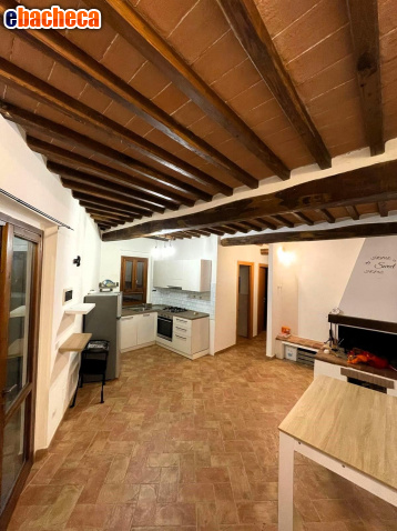 appartamento in vendita a Radicondoli