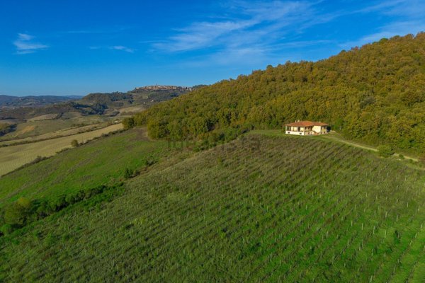 azienda agricola in vendita a Radicondoli in zona Belforte