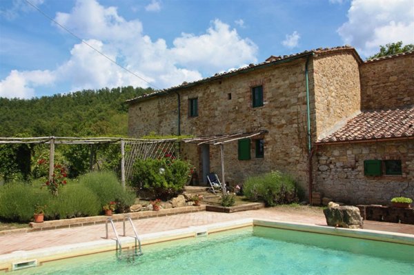 casa indipendente in vendita a Radicondoli in zona Anqua