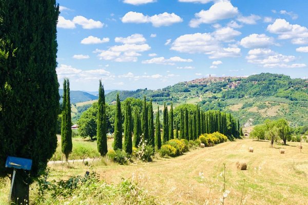 appartamento in vendita a Radicondoli in zona Belforte