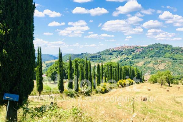 appartamento in vendita a Radicondoli in zona Belforte