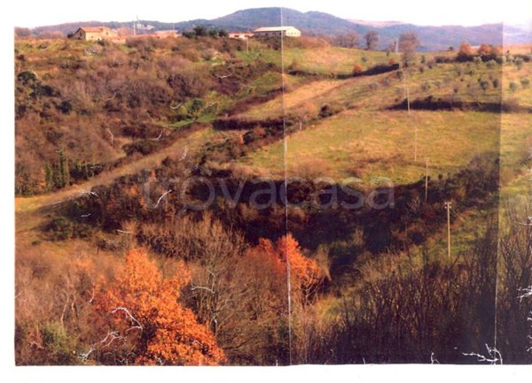 terreno agricolo in vendita a Radicondoli
