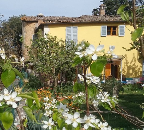 casa indipendente in vendita a Rapolano Terme in zona Serre di Rapolano