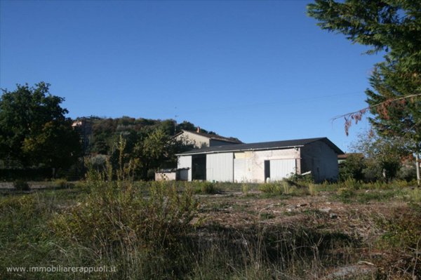 casa indipendente in vendita a Rapolano Terme in zona Serre di Rapolano