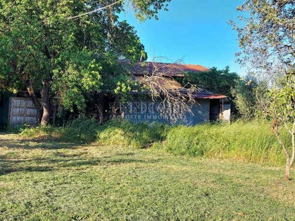 casa indipendente in vendita a Rapolano Terme