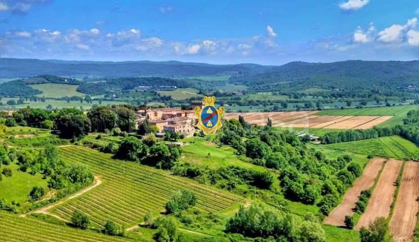 azienda agricola in vendita a Rapolano Terme