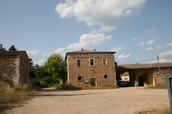 negozio in vendita a Rapolano Terme