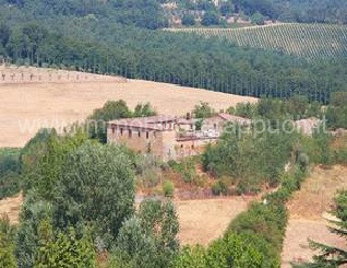 casa indipendente in vendita a Rapolano Terme