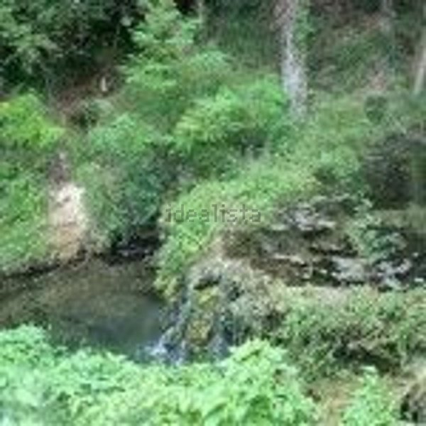 appartamento in vendita a Rapolano Terme